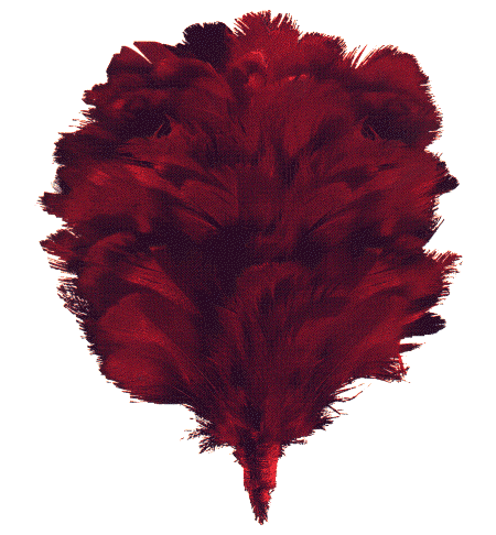 Red Hackle Cleaning Services logo